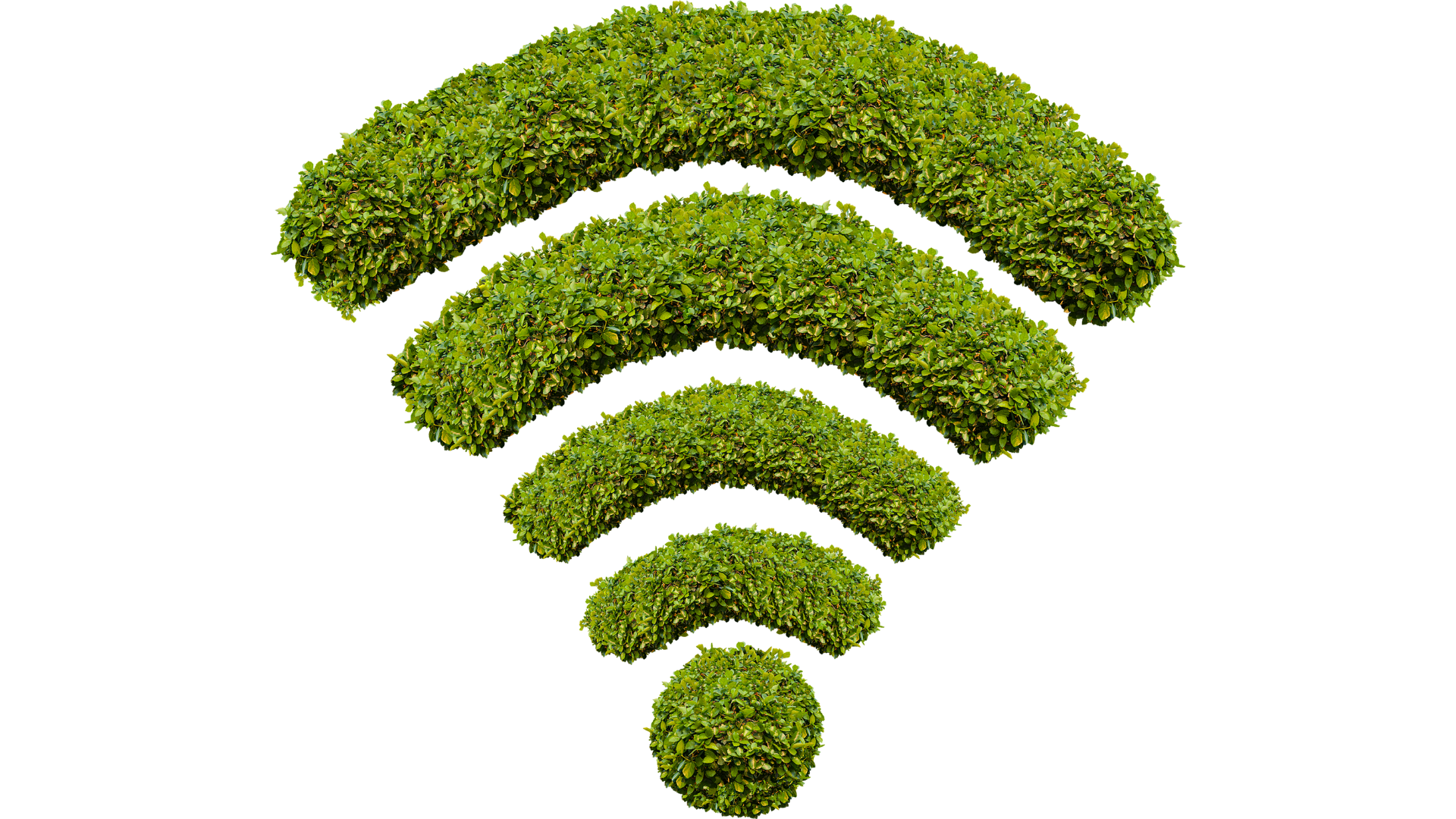 Green_Wifi.png